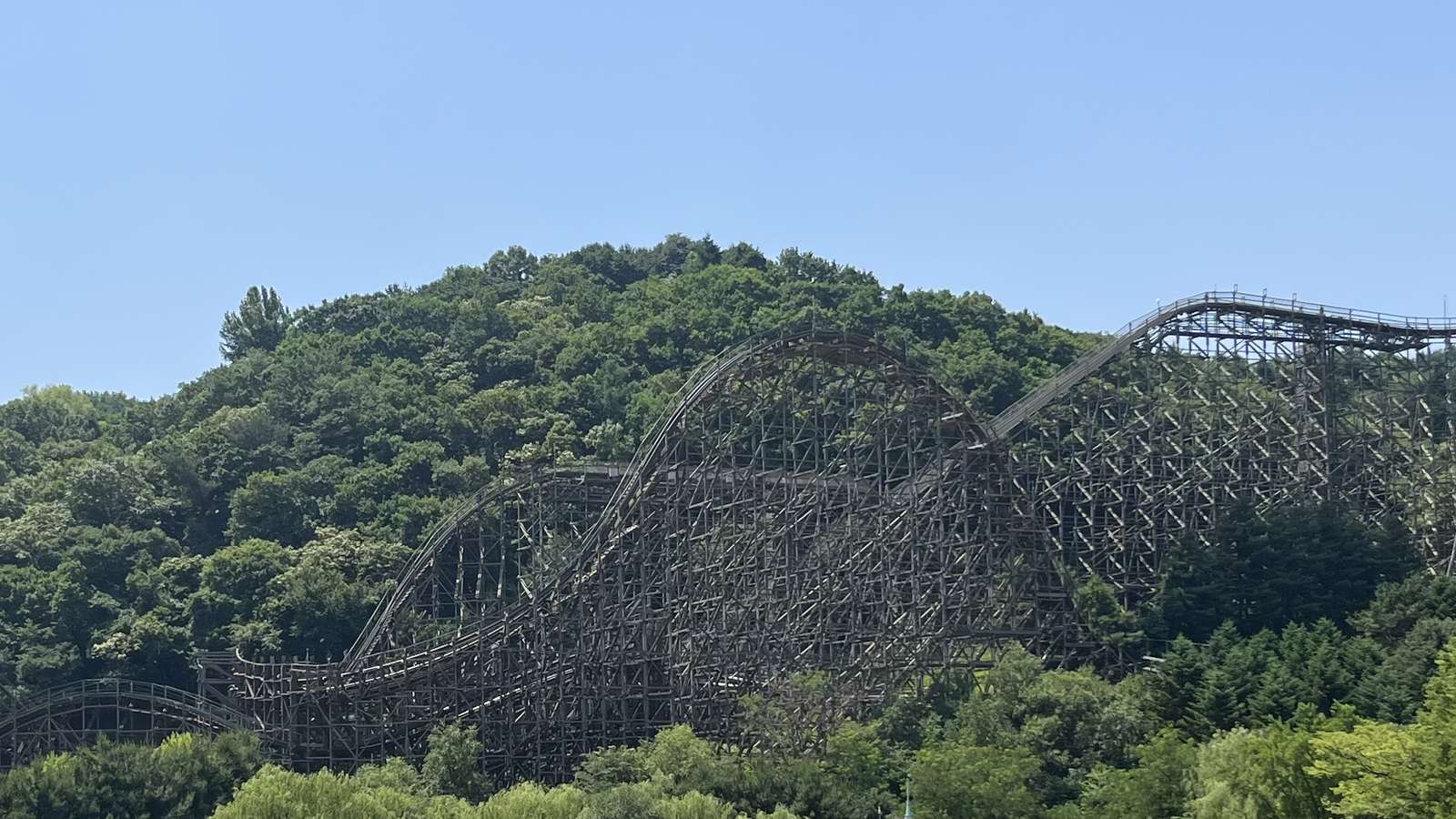 T Express, Everland's wooden roller coaster, with a train traveling along its towering timber-framed track