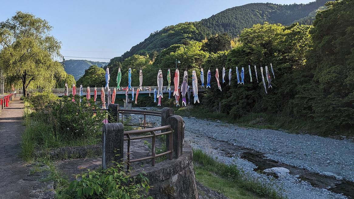 一整排彩色鯉のぼり橫掛在山谷的河川上方,兩岸是新綠的樹林與礫石河床