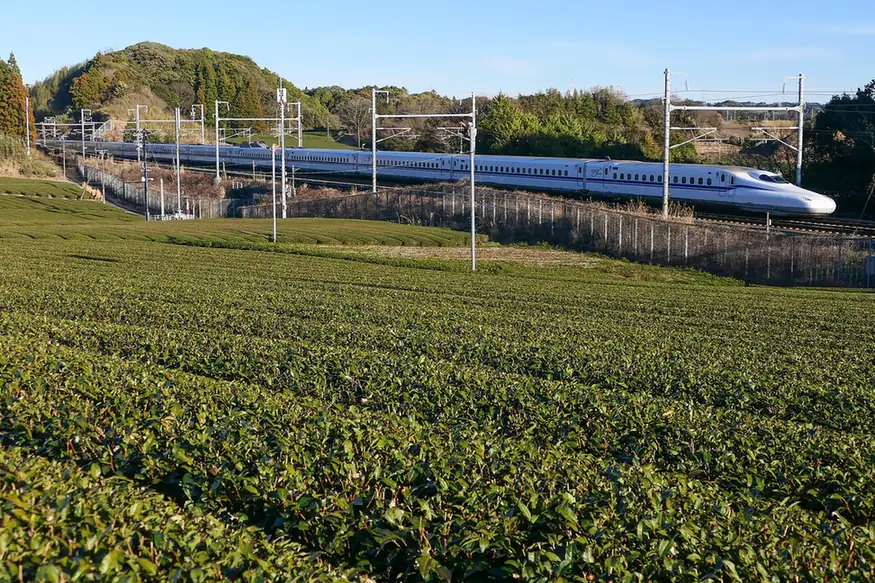白色的東海道新幹線列車行駛在茶園旁的軌道上，遠處是樹林與藍天