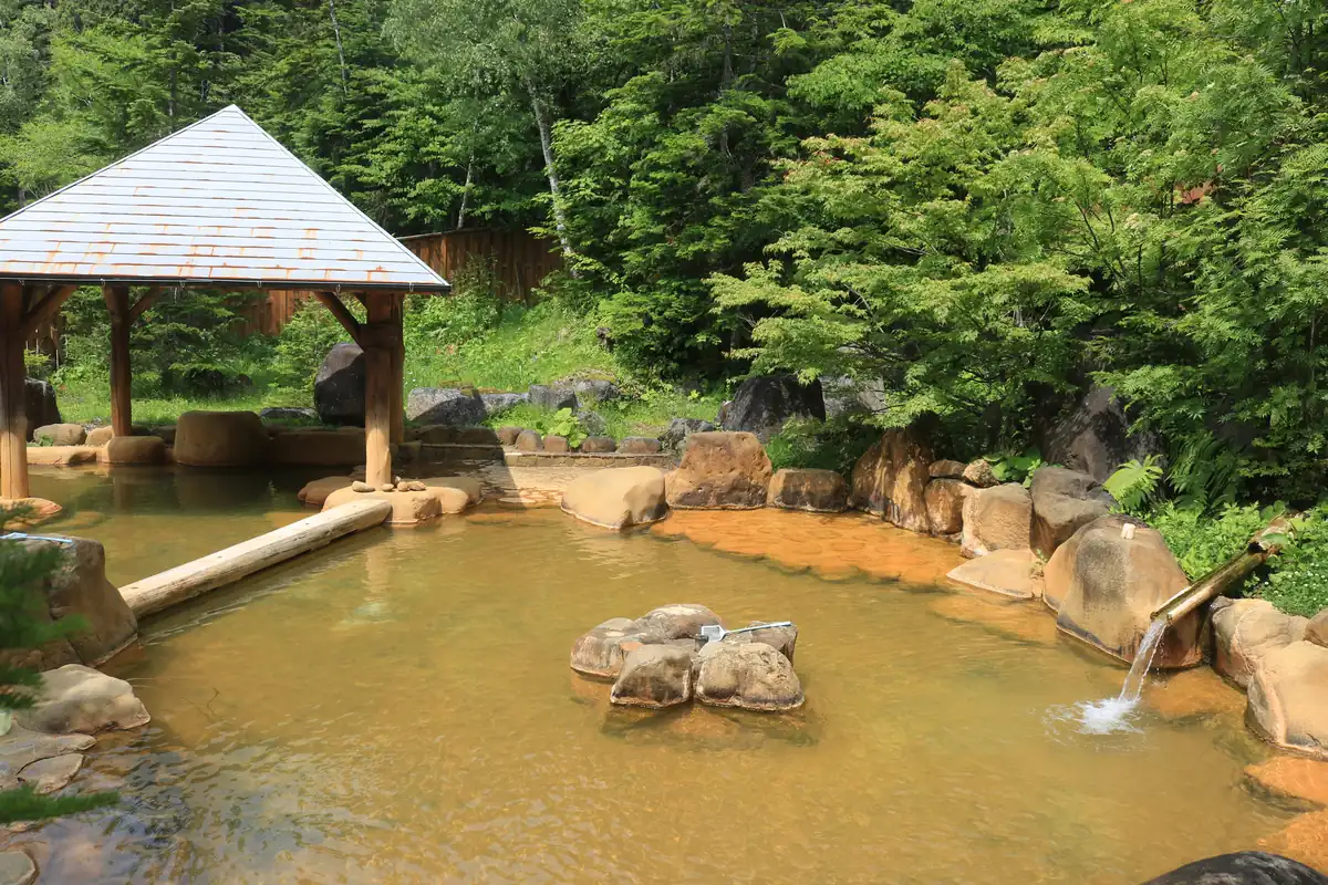 濁河溫泉的露天風呂，石砌浴池冒著熱氣，四周是山林