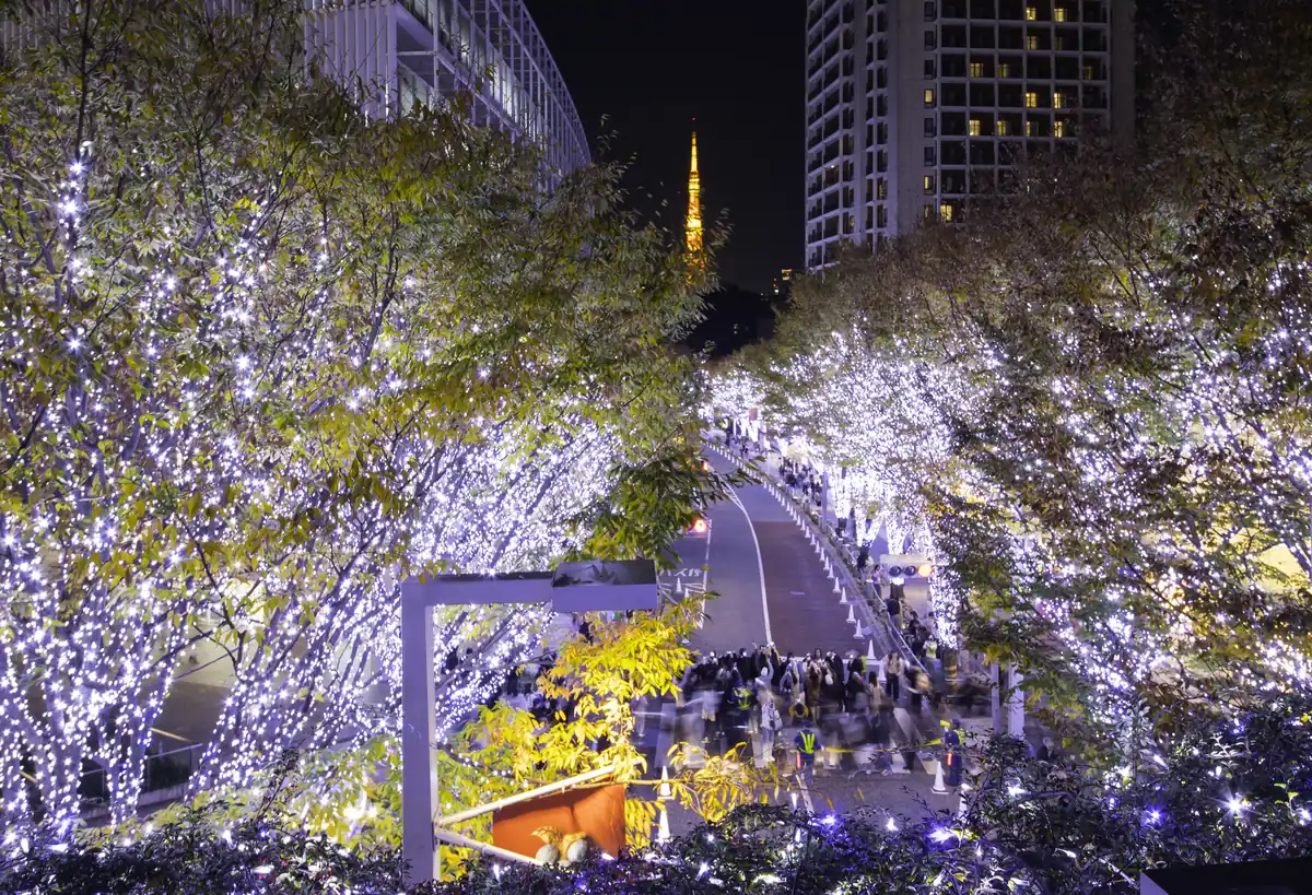 六本木欅坂燈飾，坡道兩側的樹亮著白色燈光，遠處是東京鐵塔