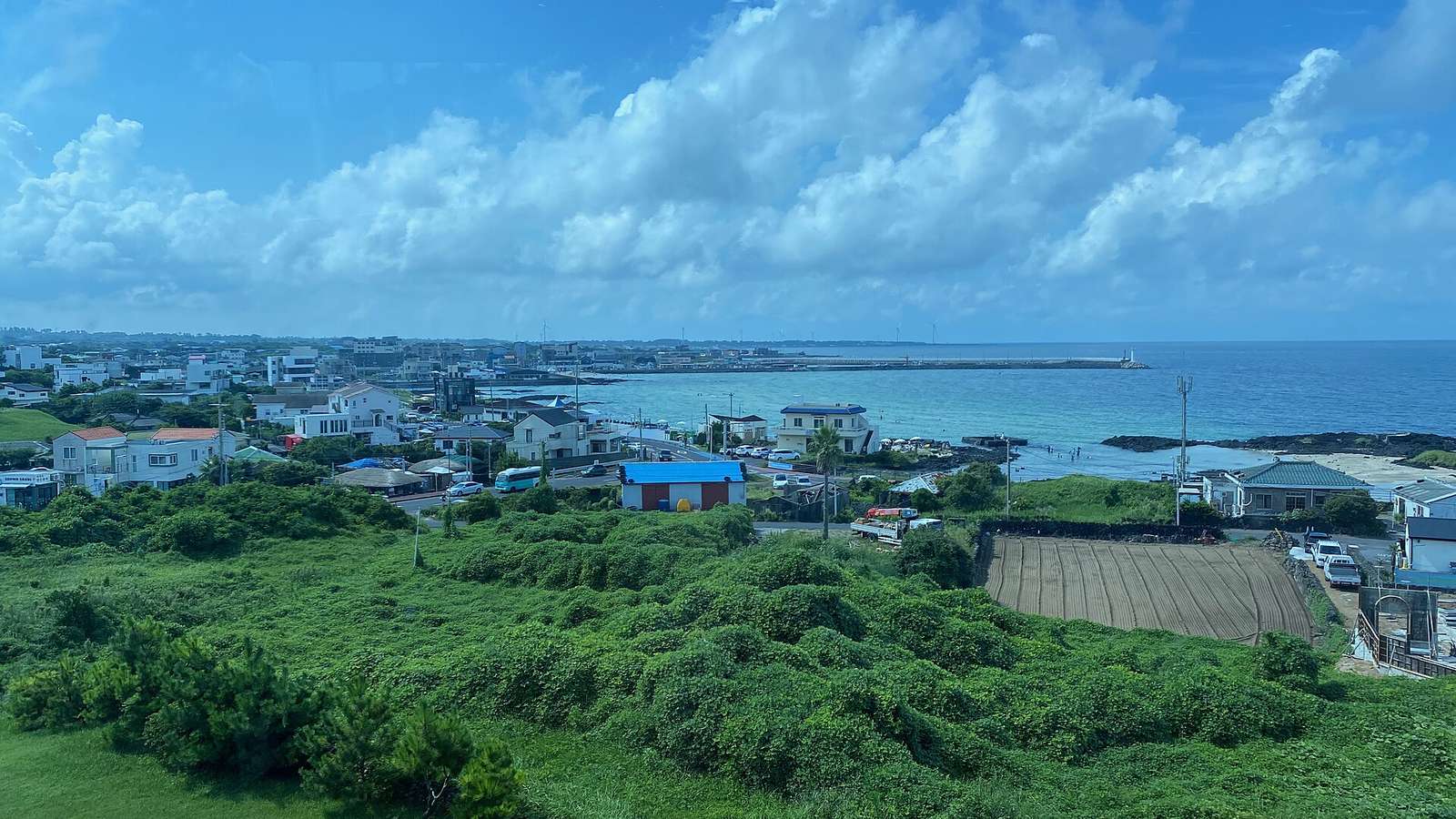 濟州細花海邊的村落、綠地與湛藍海面，遠處可見港堤