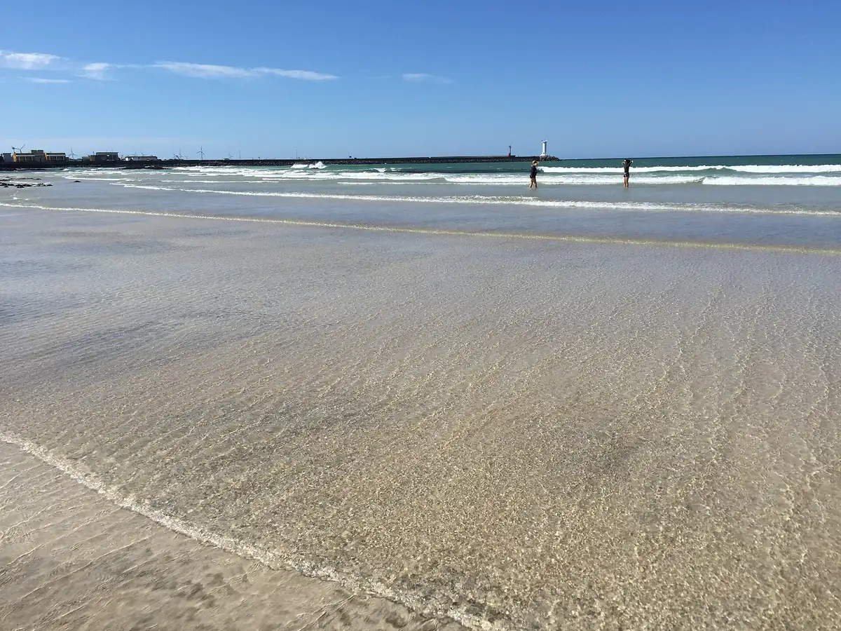 濟州細花海邊的沙灘與海水，海岸旁可見建物