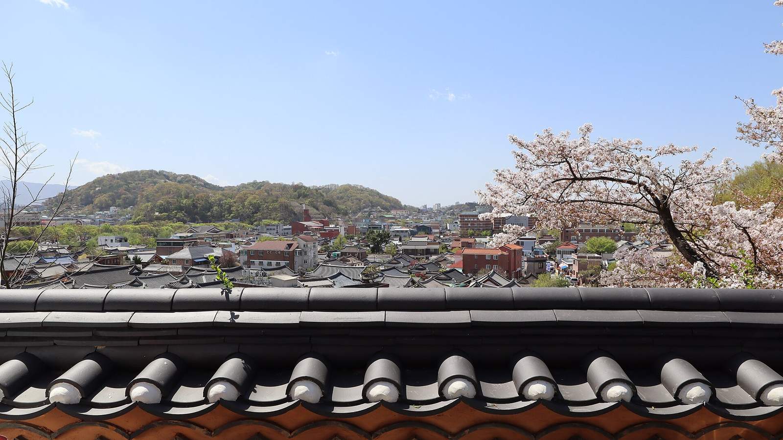 前景是韓屋的黑瓦屋脊，後面是全州韓屋村的屋頂、櫻花與遠處的山稜