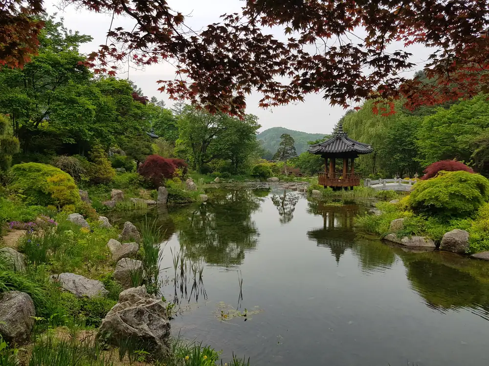 晨靜樹木園的池塘與水邊的六角涼亭，四周是紅葉楓樹與修剪過的花木