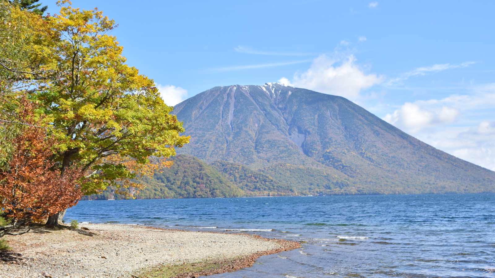秋天的中禪寺湖畔：湖邊一棵轉黃的樹，對岸是圓錐形的男體山，藍天白雲