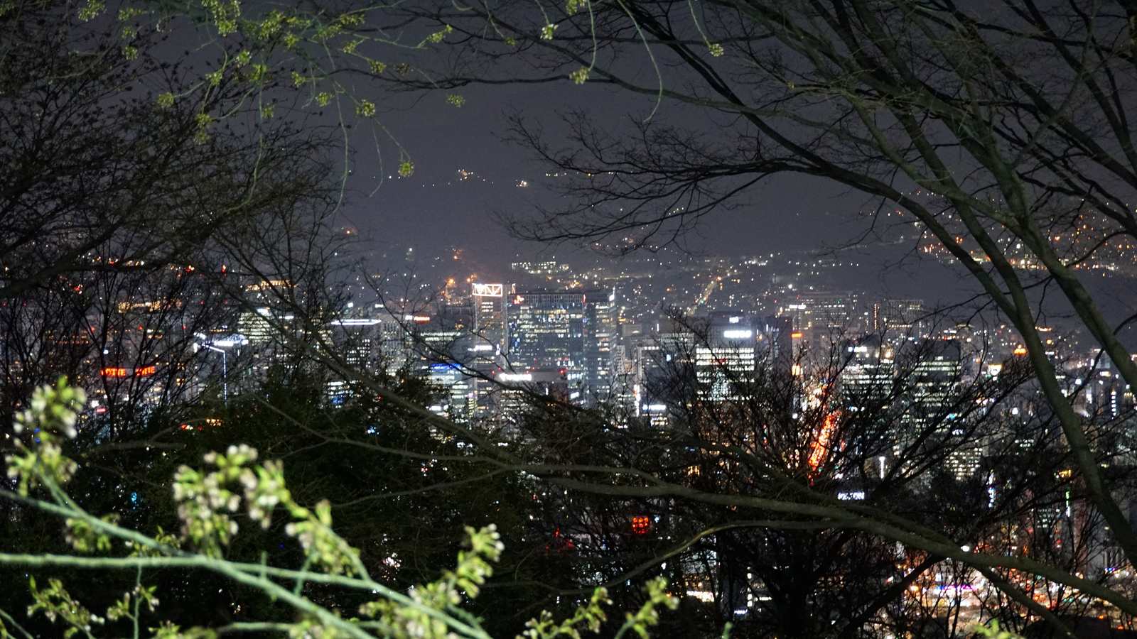 從南山俯瞰首爾市區夜景