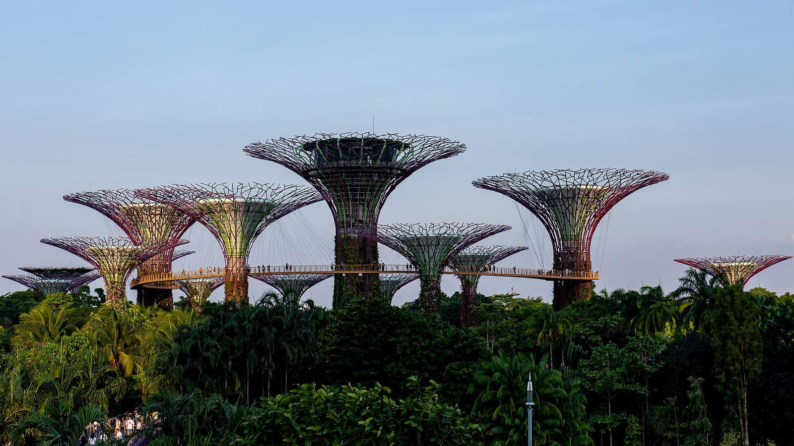 Supertree Grove at Gardens by the Bay at dusk, with an elevated walkway joining artificial trees of different heights above tropical greenery