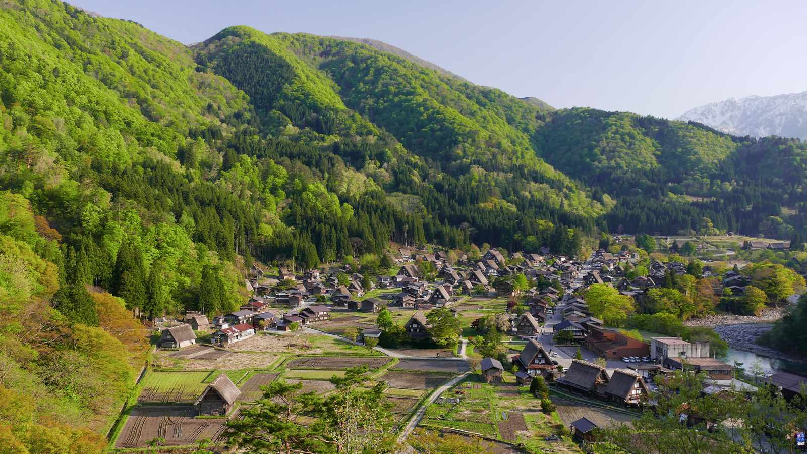 從高處俯瞰白川鄉荻町的合掌造聚落與周圍山林