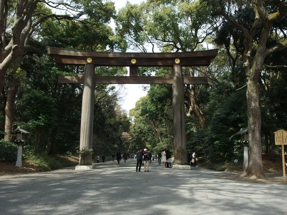 明治神宮參道上的木造大鳥居與林蔭